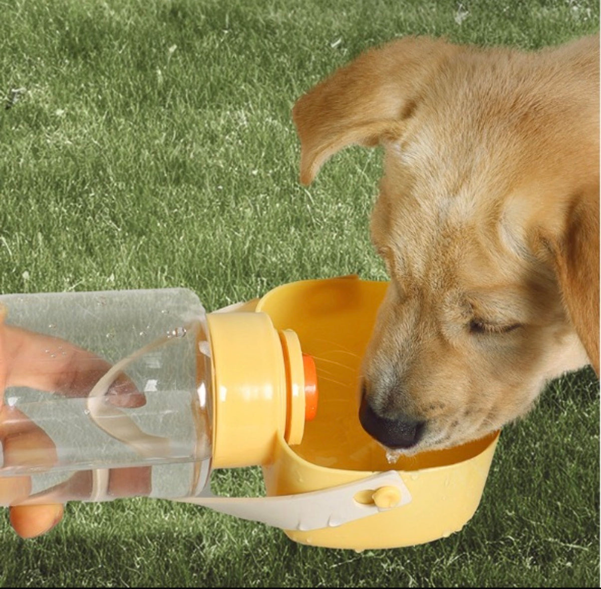 PawSip™ Reisdrinkbeker